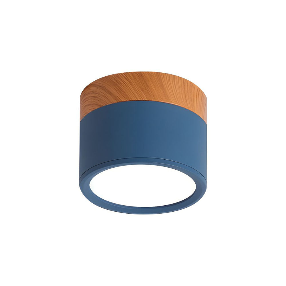 Cylinder Small Flush Takbelysning för Modern Heminredning Carvallo