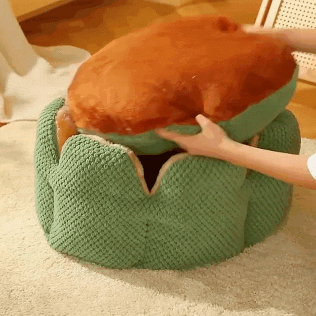 Cactus Thron Pet Bed - Stimulerar sömnkomforten Carvallo