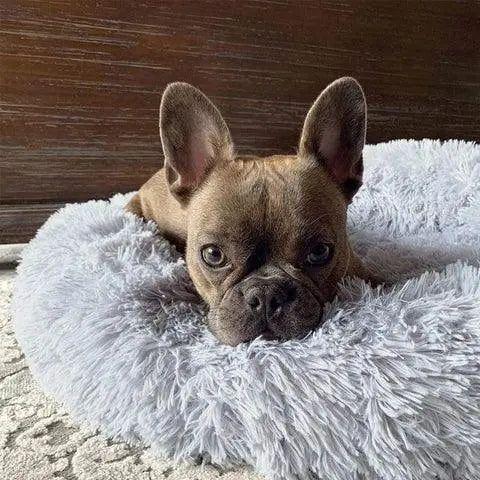 Calmzy – Mjuk, lugnande säng för husdjur Carvallo