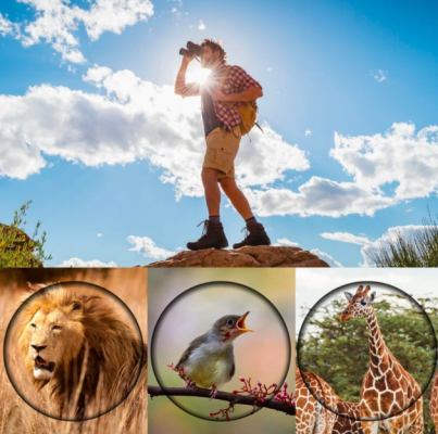 Kikare Hög Effekt Natt Sikt Vattentålig Carvallo