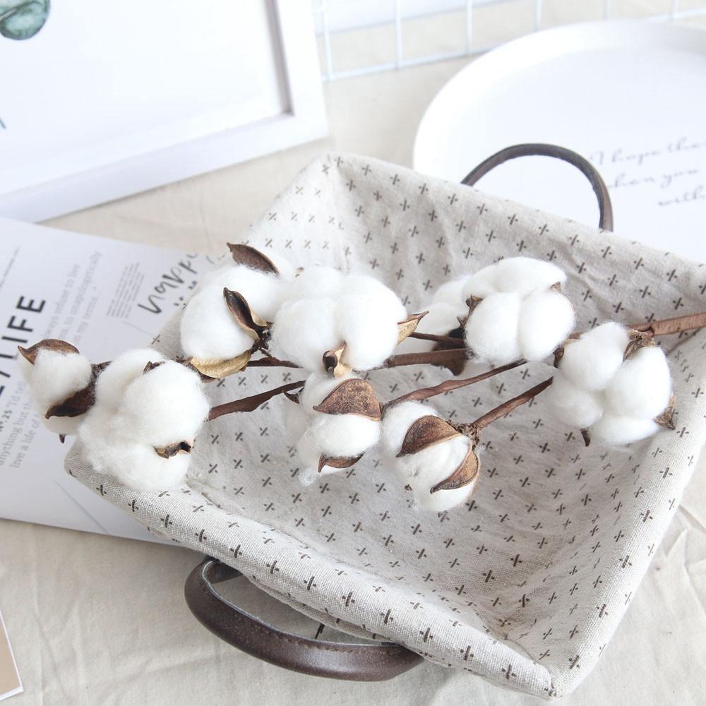 Katoentakken MILA Sverige