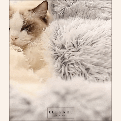 Dreamnest - Husdjur säng för ultimata lugn och komfort Carvallo