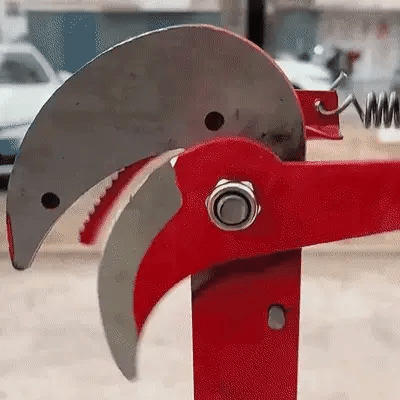 Carvallo – Risk-free cutting of high branches from the ground Carvallo