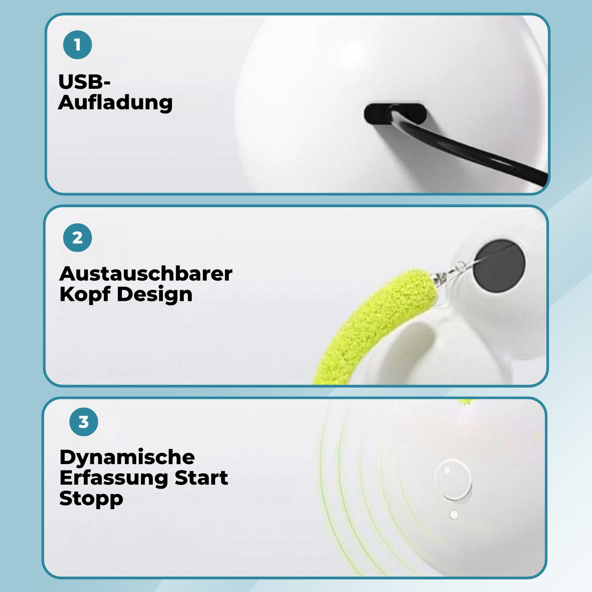 Carvallo – Jaga, leka, vara lycklig! Carvallo