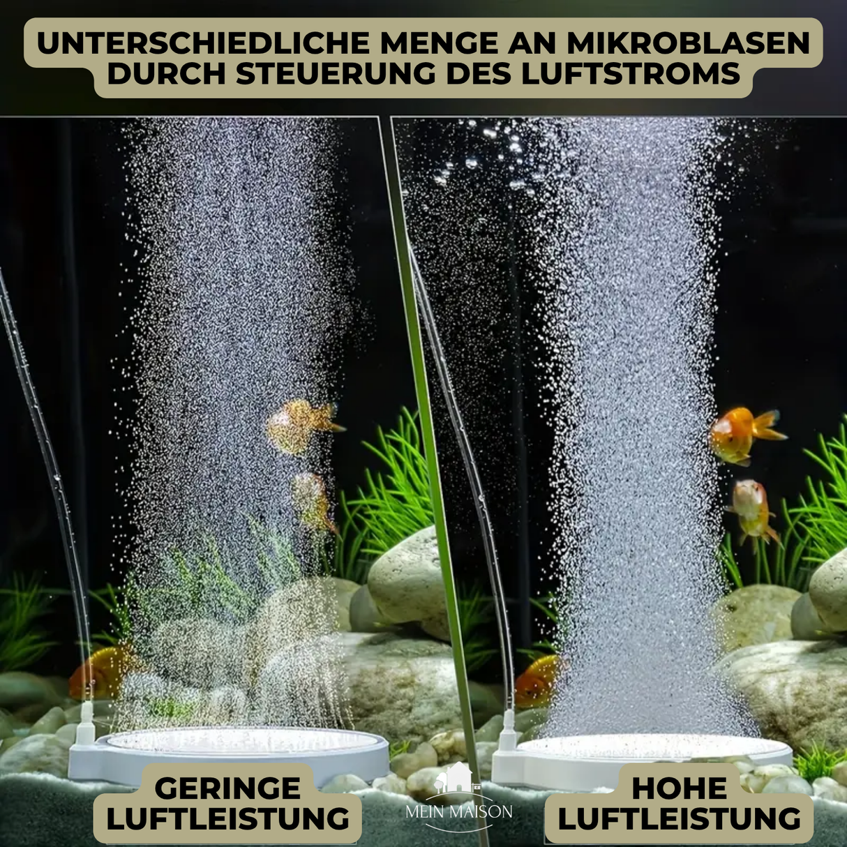 Carvallo Nano – Tyst frisk luft för ditt akvarium Carvallo