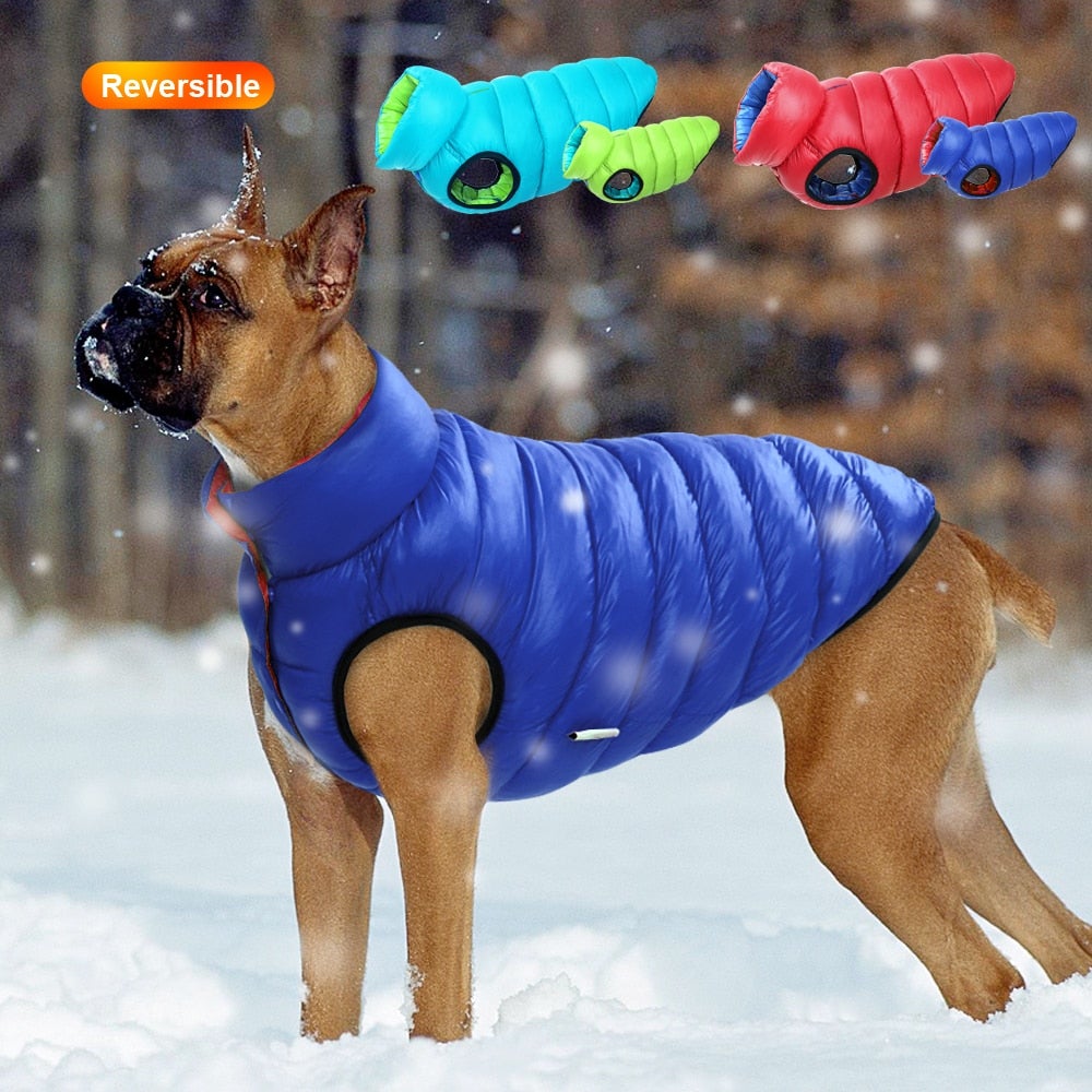 Vändbar Hund Puffer Coat Bellasverige