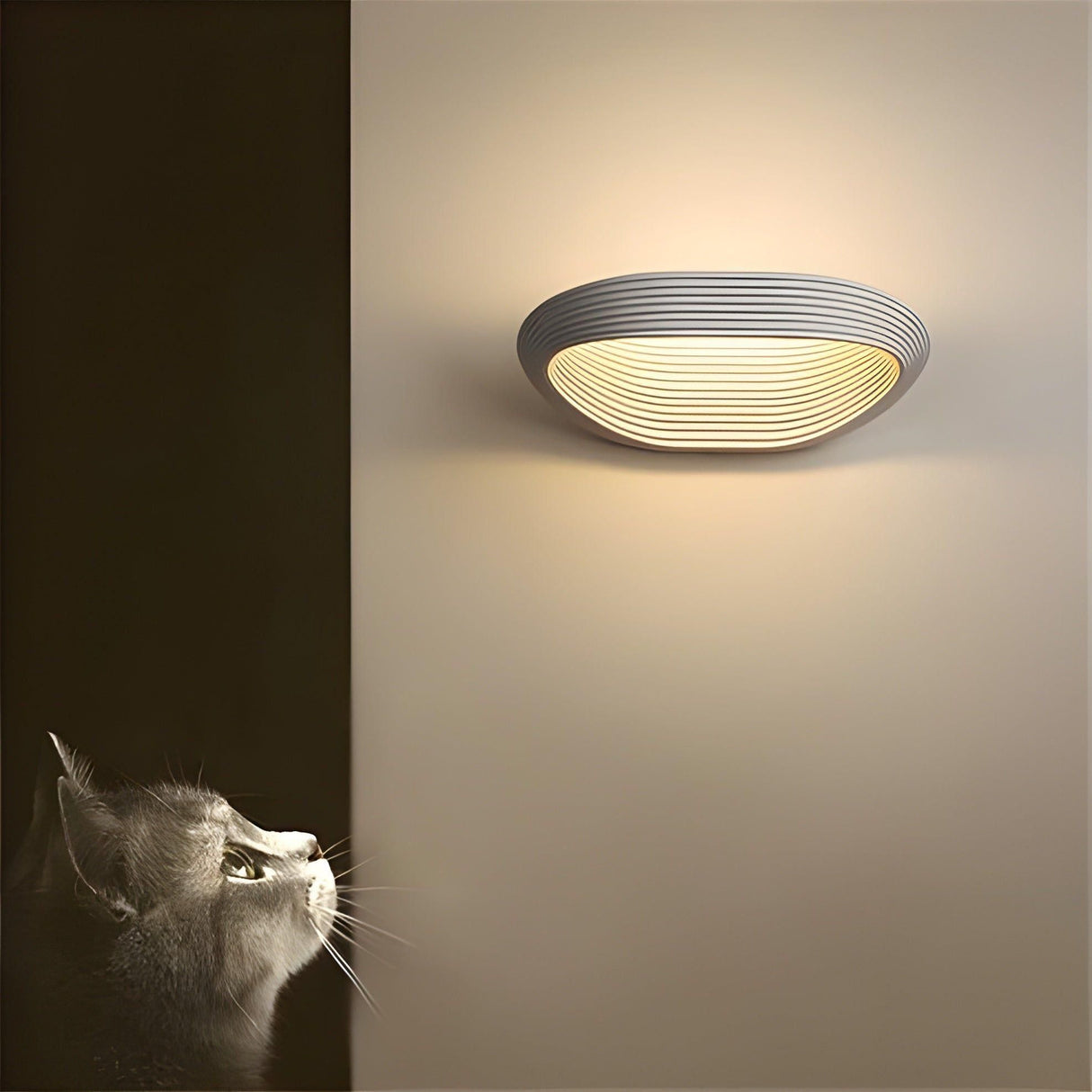 RadianceEdge Light - Modern LED Inomhus Vägglampa Carvallo