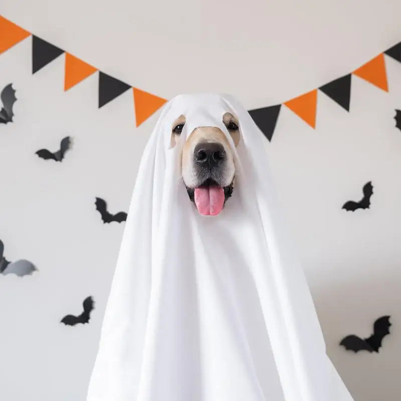 Ghost Dog Halloween-kostym Carvallo