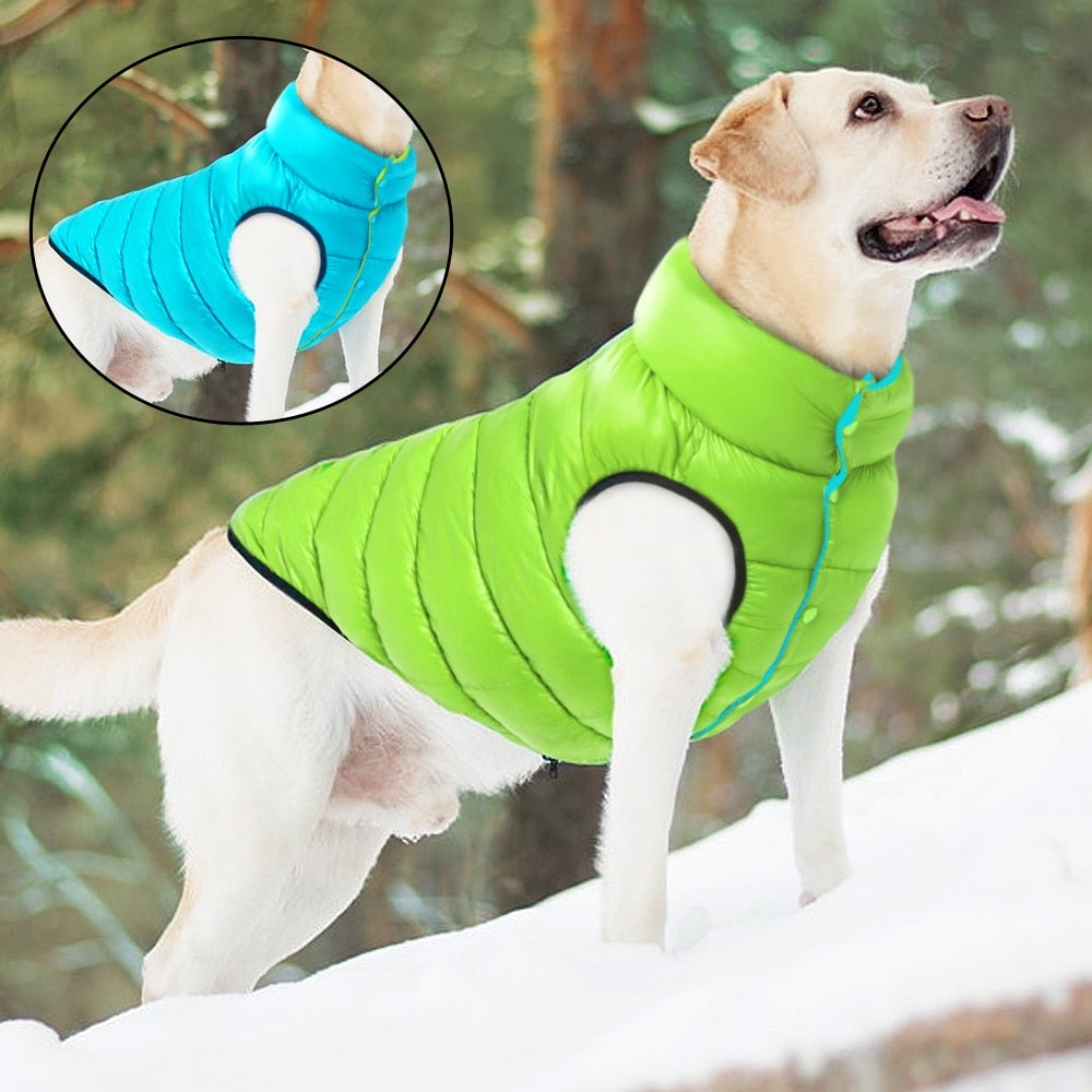 Vändbar Hund Puffer Coat-Animals-Bellasverige-Hemnix