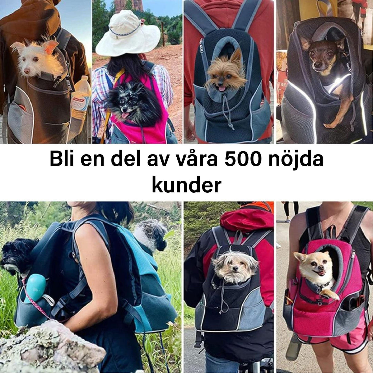 Carvallo – Tillsammans överallt på väg Carvallo