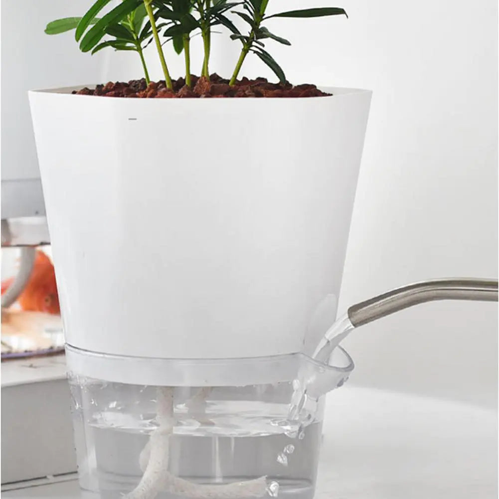 AquaPlanter - Smart Blomkruka och Miniakvarium i Ett Carvallo