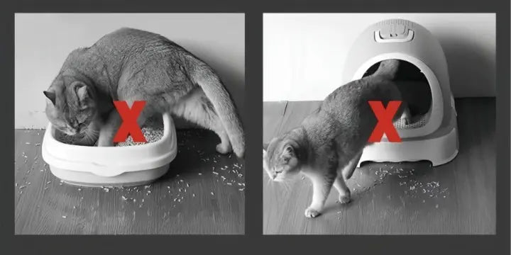 PawCatch – Stor vattentät halkfri kattmatta MILA Sverige