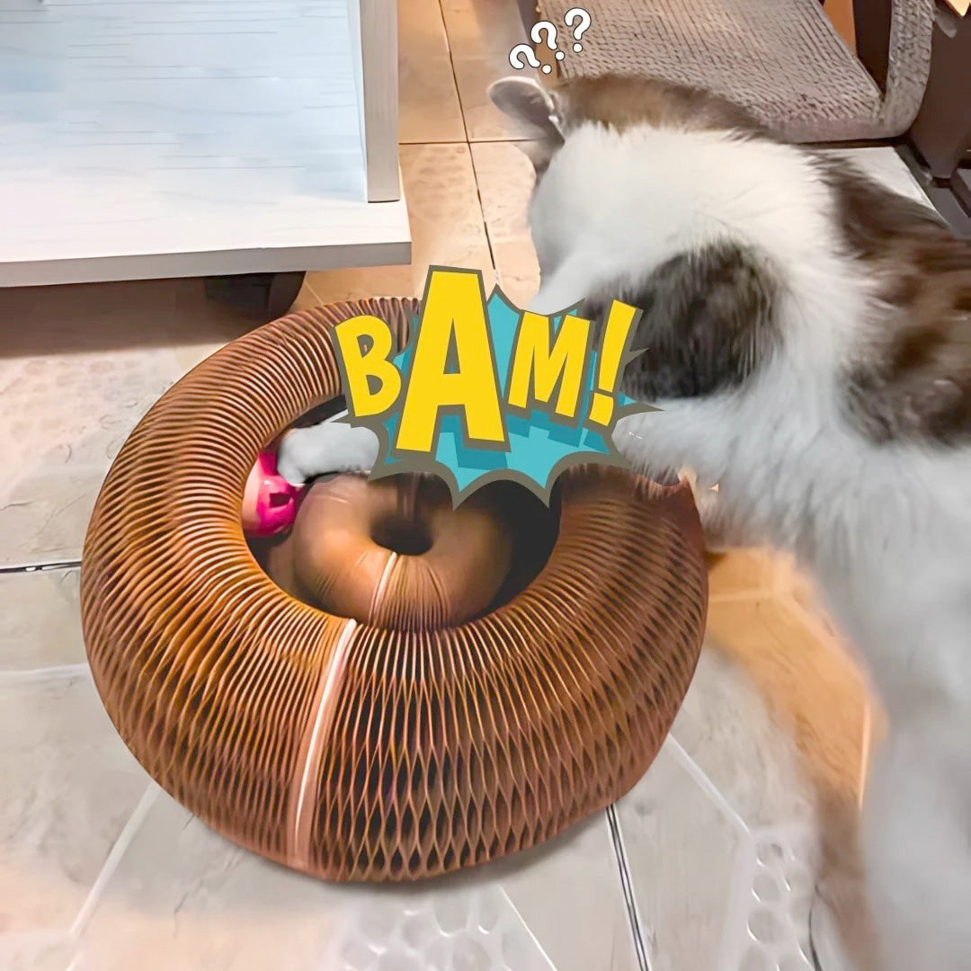 Furora Expandable Katt Klösleksak med Interaktiv Bollarbana & Mysig Säng Carvallo