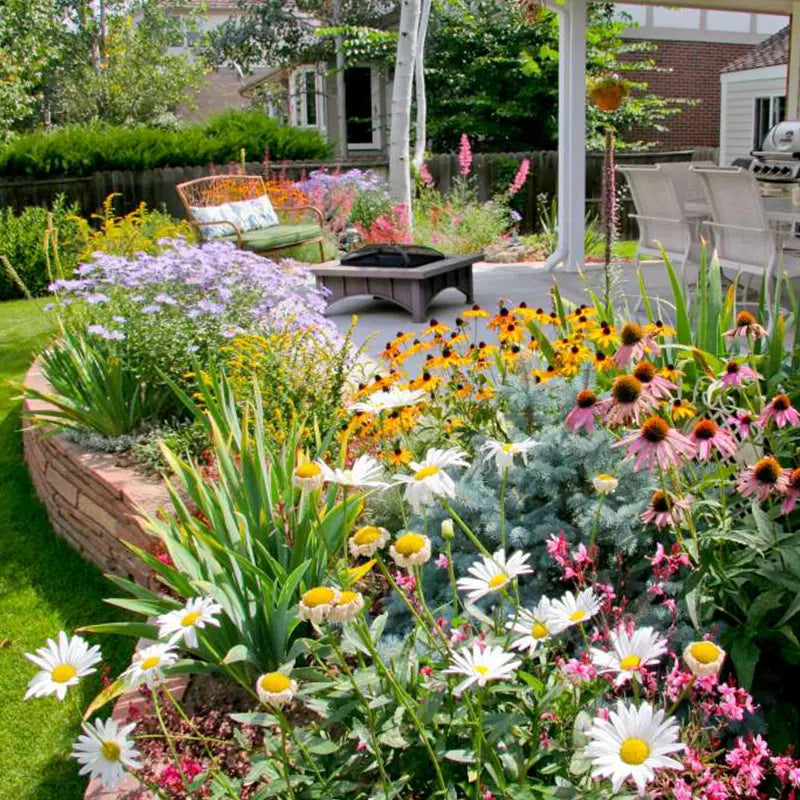 Carvallo – Färgglada blommor året runt Carvallo