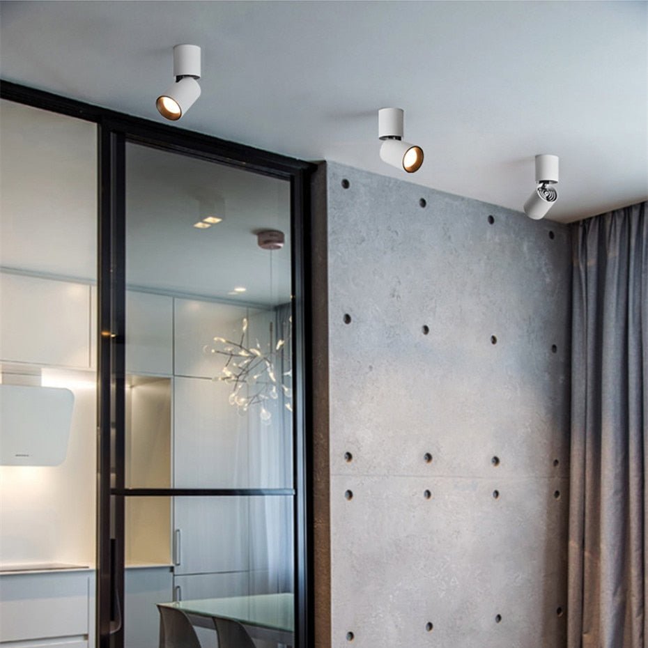 Justerbar Rund Ytmonterad Downlight för Mångsidig Belysning Carvallo