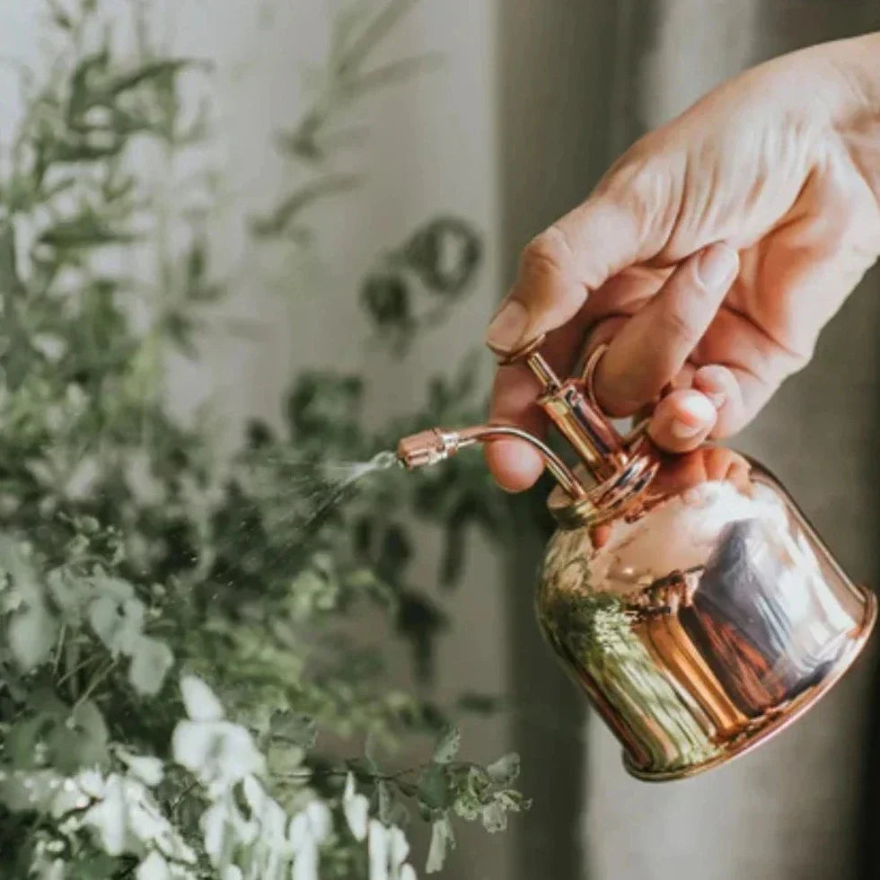 Carvallo – Lyxig växtspruta med förfinad funktionalitet Carvallo