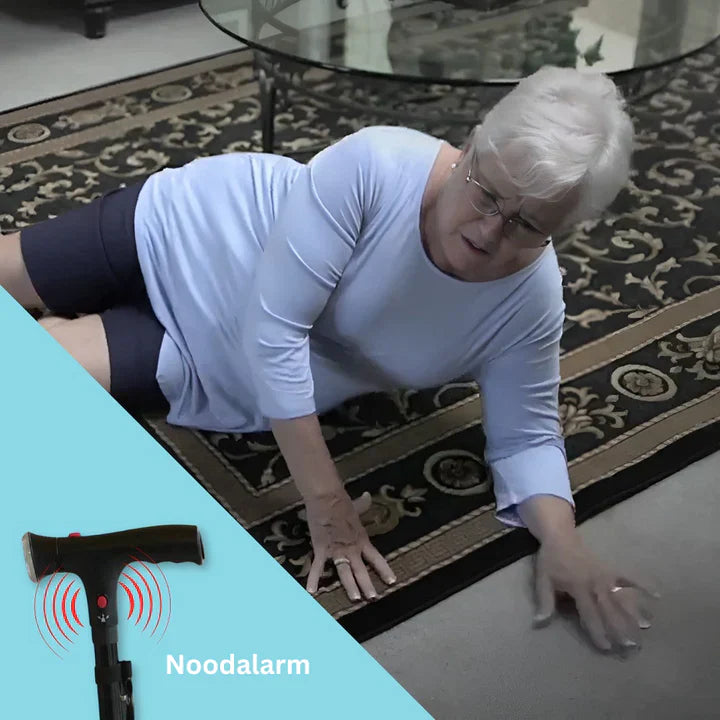 Stabil Gånghjälp | Diskret stöd för självständig rörlighet Carvallo