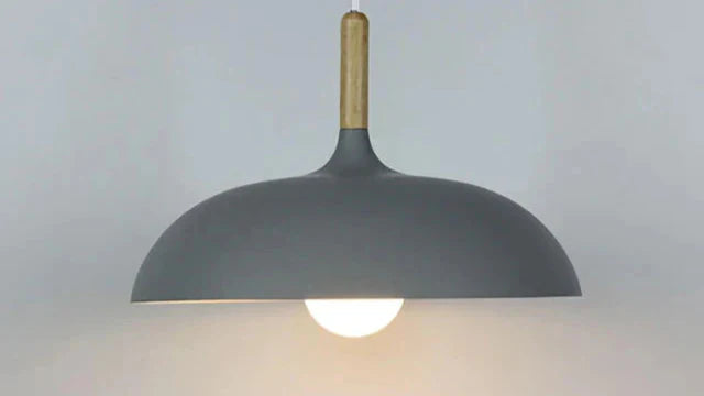 Ekfärgad Taklampa med Skandinavisk Charm Carvallo