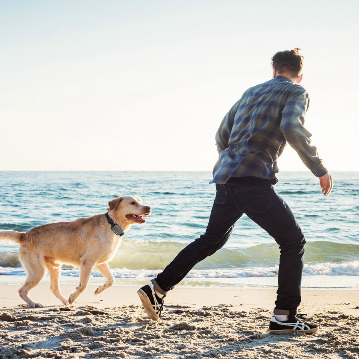 GPS Pro Trådlöst Hundstängsel System – Säkra Din Hundleverans Carvallo