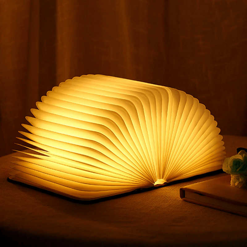 Trä Förhäxad Bok Lampa Carvallo