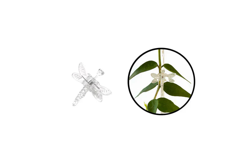 Carvallo Florifix Stängelklämmor för klätterväxter | Osynliga växtstöd | 100 stycken | Transparent design Carvallo