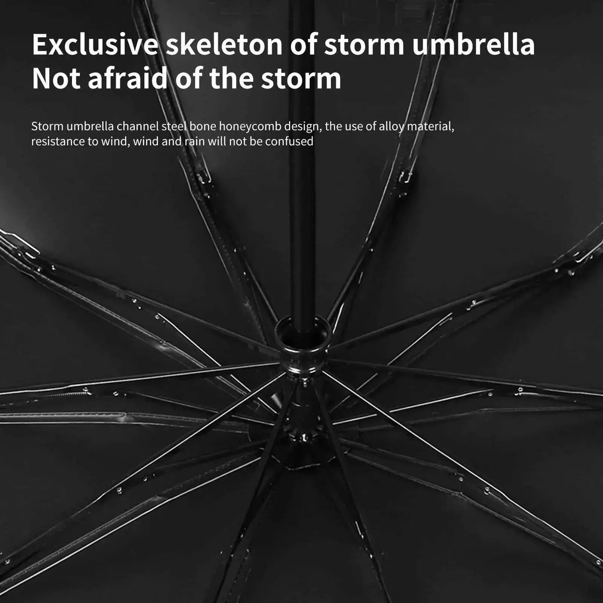 Carvallo – Din fickväder-bodyguard! Carvallo