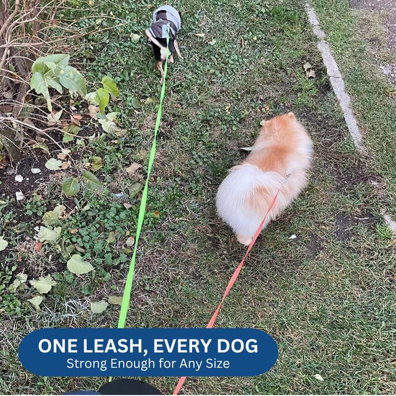 Royallure 10 ft Dubbel Återdragbar Hundleash med Inbyggd Ficklampa & Avfallspåsehållare Carvallo