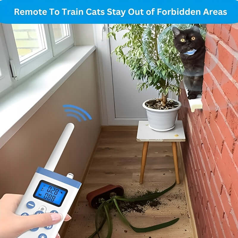 Royallure Katt Träningshalsband med Fjärrkontroll – Mild Meow Beteendehjälp Carvallo