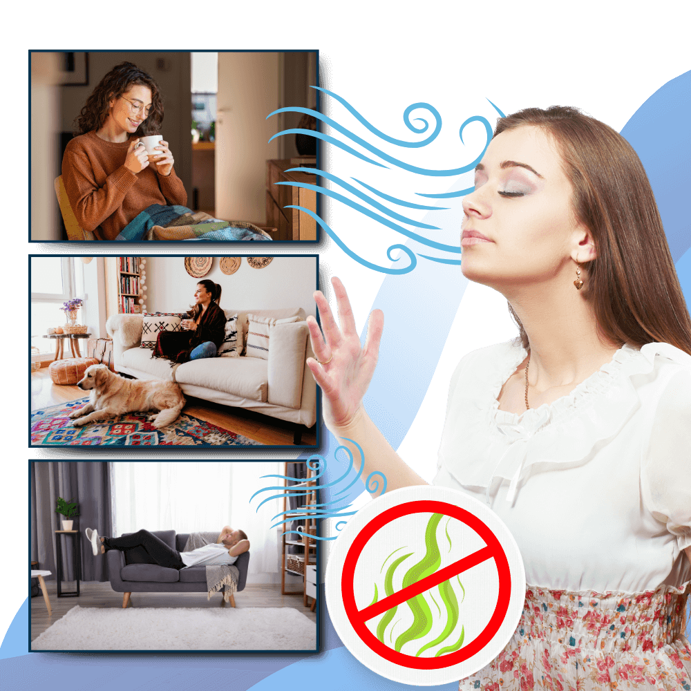 Royallure Multi-Surface UV Desinfektionslampa – Sängbuggsdödare, 99,9% Borttagning av bakterier, Kemikaliefri Carvallo