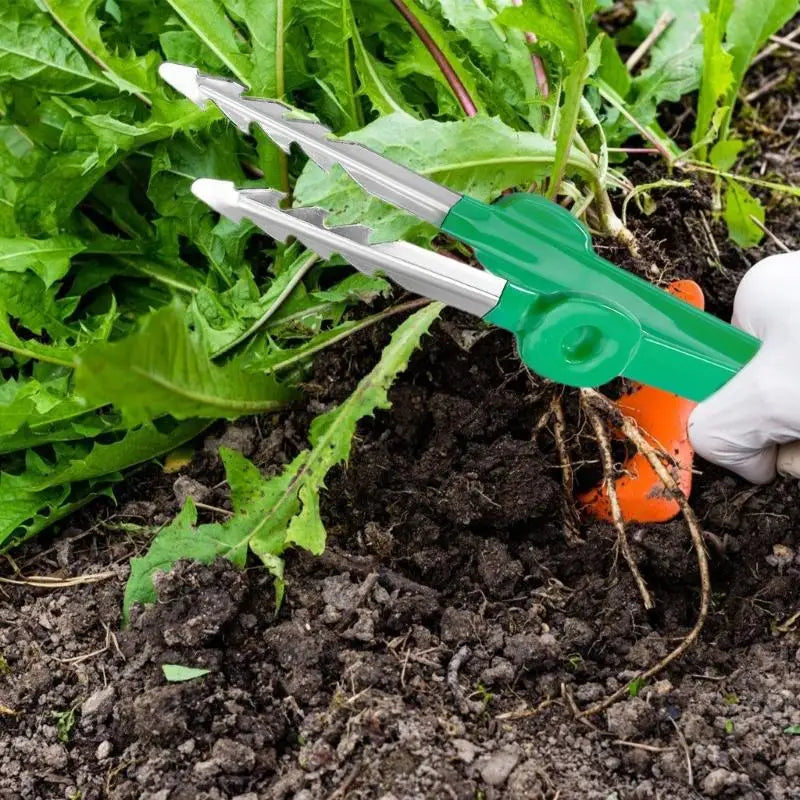 Carvallo Trädgårdspincett i rostfritt stål | Precision verktyg med klospets | Rutschfritt & Rostfritt | 18,8 cm längd Carvallo