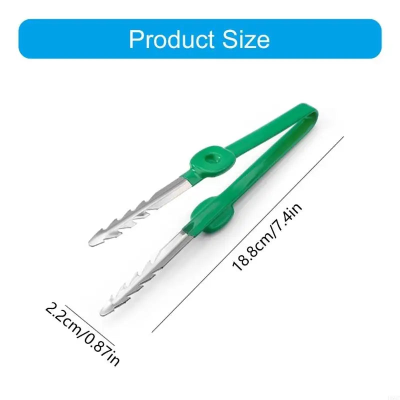 Carvallo Trädgårdspincett i rostfritt stål | Precision verktyg med klospets | Rutschfritt & Rostfritt | 18,8 cm längd Carvallo