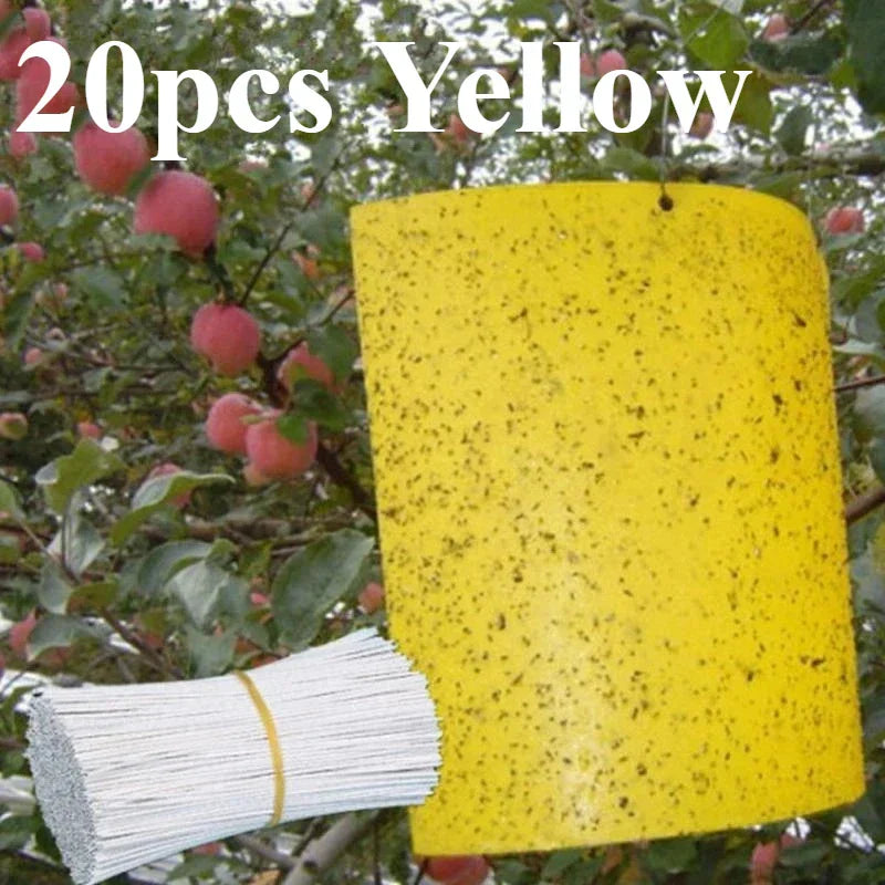Carvallo Fruktflugefälla Gul | 20 stycken Dubbelsidiga | Giftfria & Miljövänliga | Klisterfällor för Insekter Carvallo