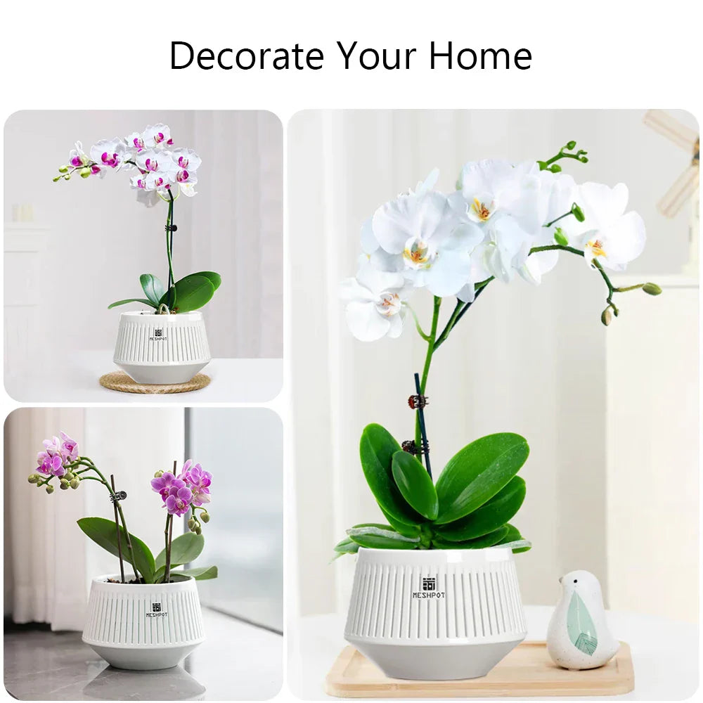 Carvallo Orchid Pot | Ventilerad planteringskruka med dräneringshål | 12 cm | Robust PP-material för inomhus och utomhus Carvallo