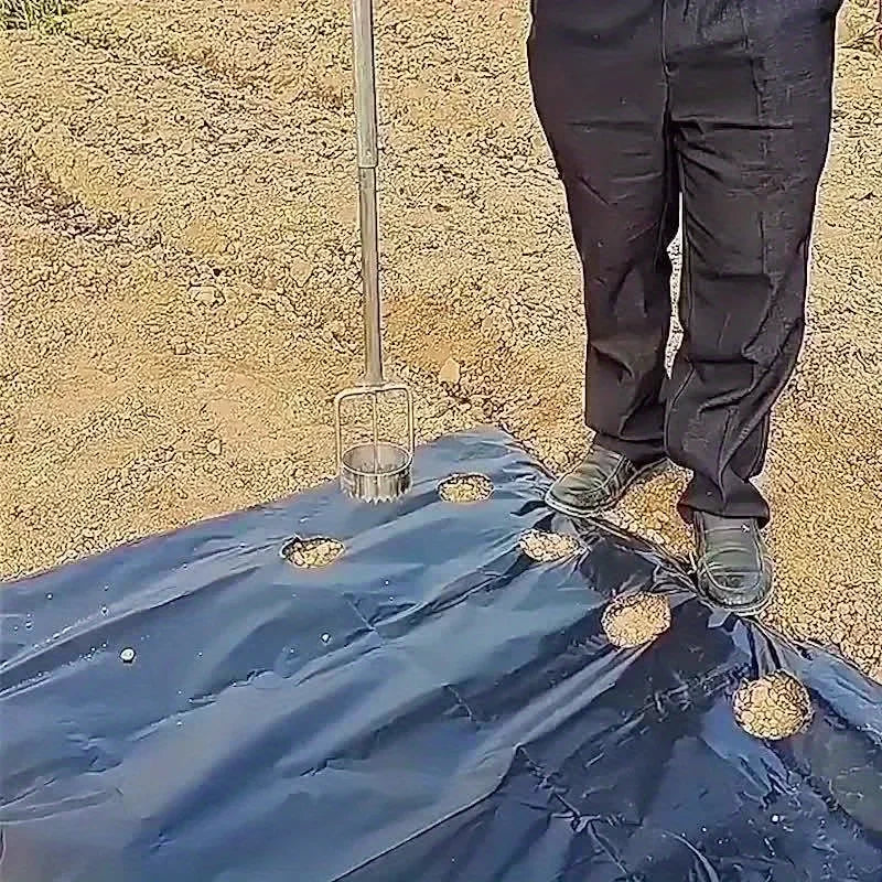 Carvallo Pro Folienhålare för växthus och trädgård | Ergonomisk och rostfri | Med avfallsfilm-krok | Rostfritt stål Carvallo