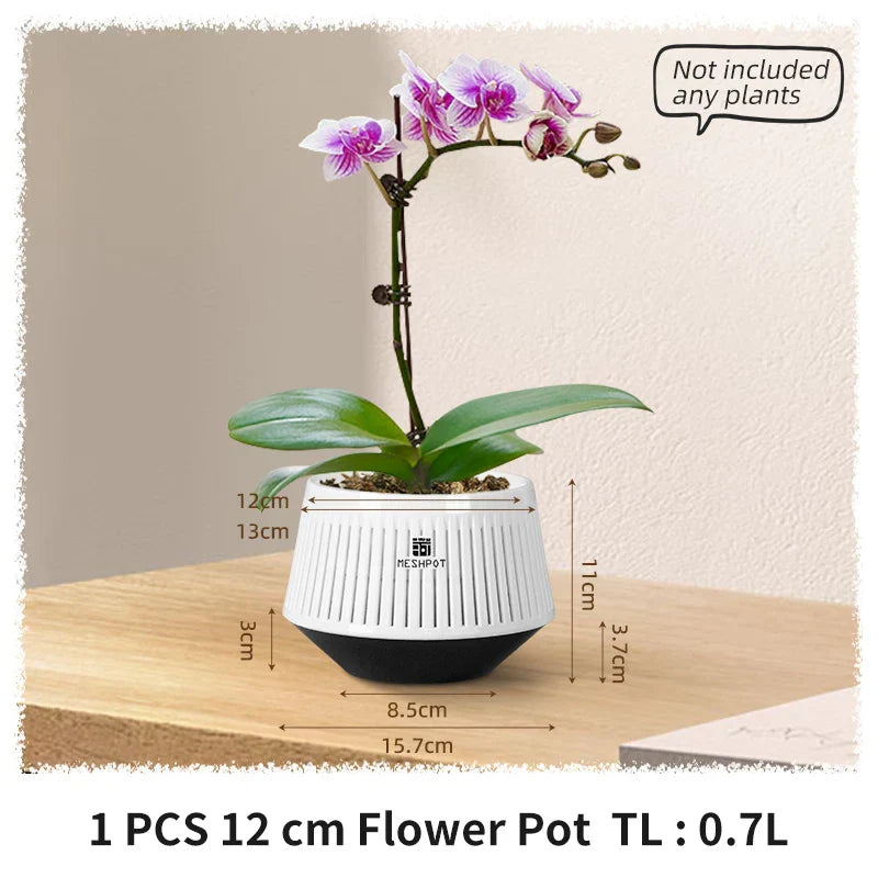 Carvallo Orchid Pot | Ventilerad planteringskruka med dräneringshål | 12 cm | Robust PP-material för inomhus och utomhus Carvallo