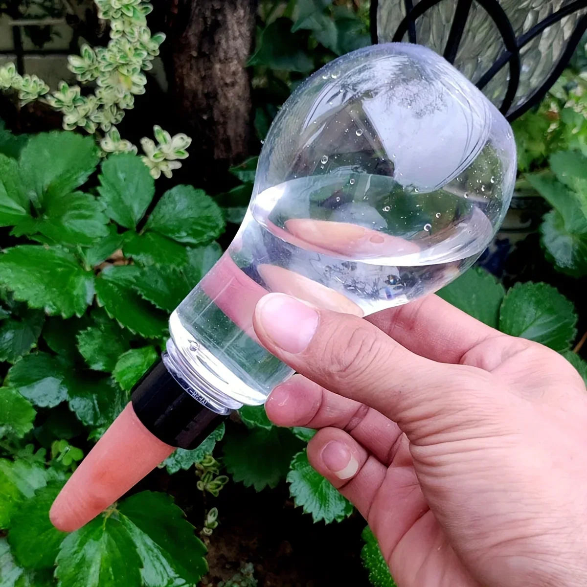 Carvallo AquaSpike | Automatisk växtvattnare | 320 ml | För rum- & balkongväxter Carvallo