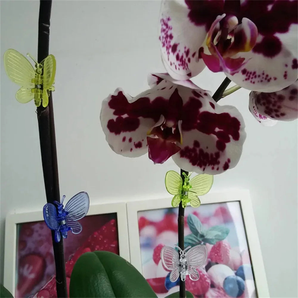 Carvallo 30 stycken orkidé- och växtklipp | Färgade fjärilsclips | För klätterhjälpmedel och växtstöd | Plast Carvallo