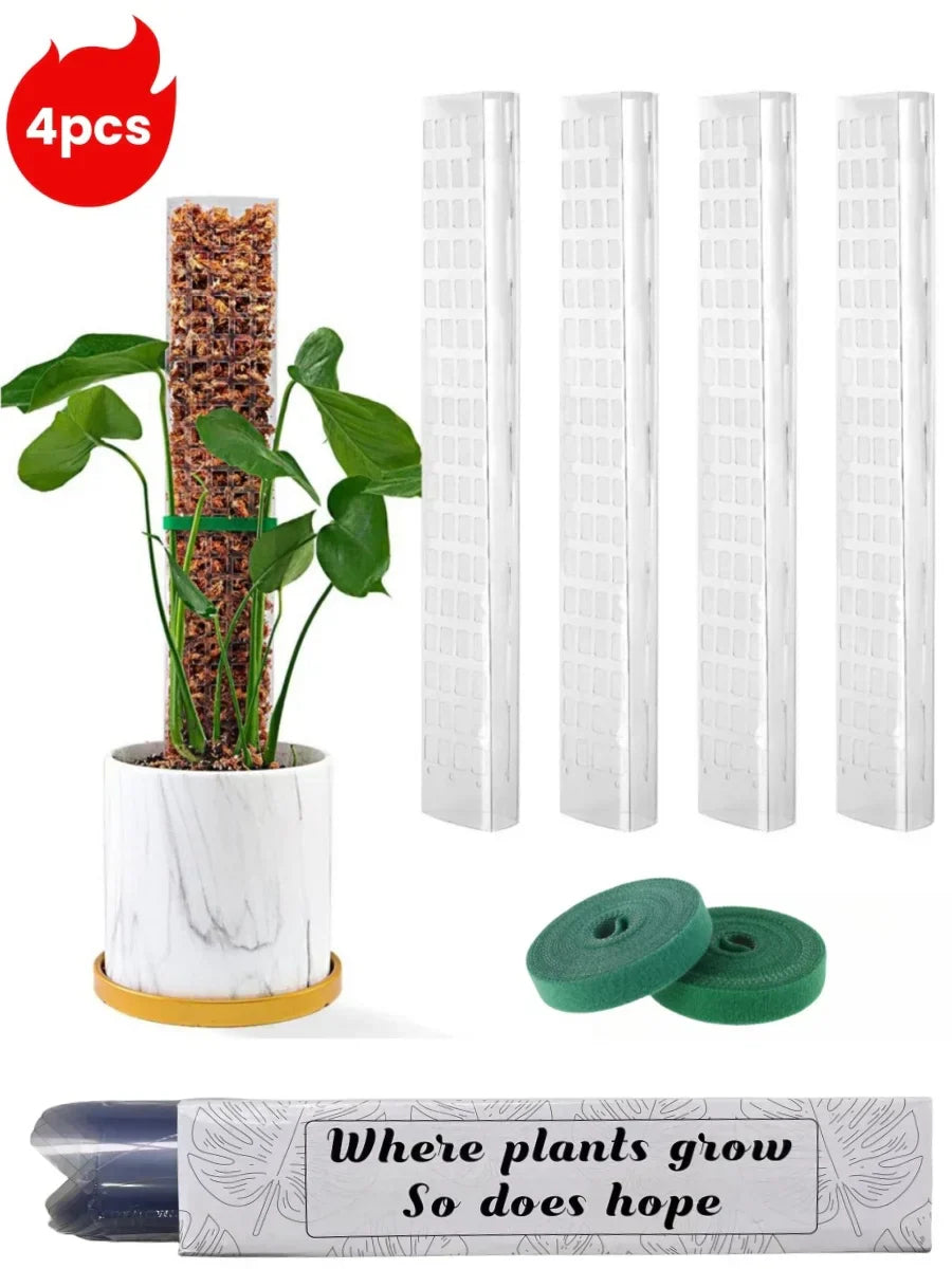 Carvallo Moosstab-Set | Transparent växtstöd i PVC | Främjar vertikal tillväxt av klätterväxter | Återanvändbar | 30cm / 60cm längd Carvallo