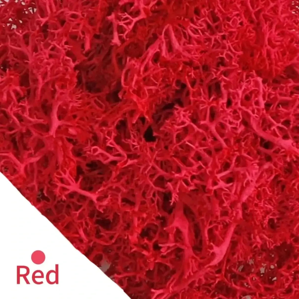 Carvallo Konstgjord mossa Dekogräs | 20 g / 40 g / 100 g | För DIY, miniatyrträdgårdar & hemtillbehör | Eviggrön & underhållsfri Carvallo