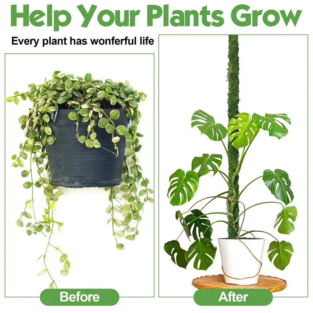 Carvallo MossPole Böjliga mossa stöd för växter | Handgjord klättringshjälp för Monstera & inomhusväxter | 45 × 3 cm Carvallo