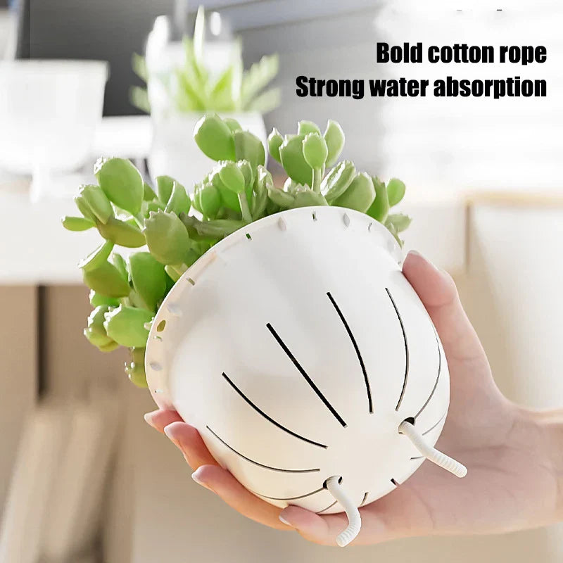 Carvallo Blomkruka | Självvattnande & Transparent | Dubbelväggig kruka för inomhusväxter & suckulenter Carvallo