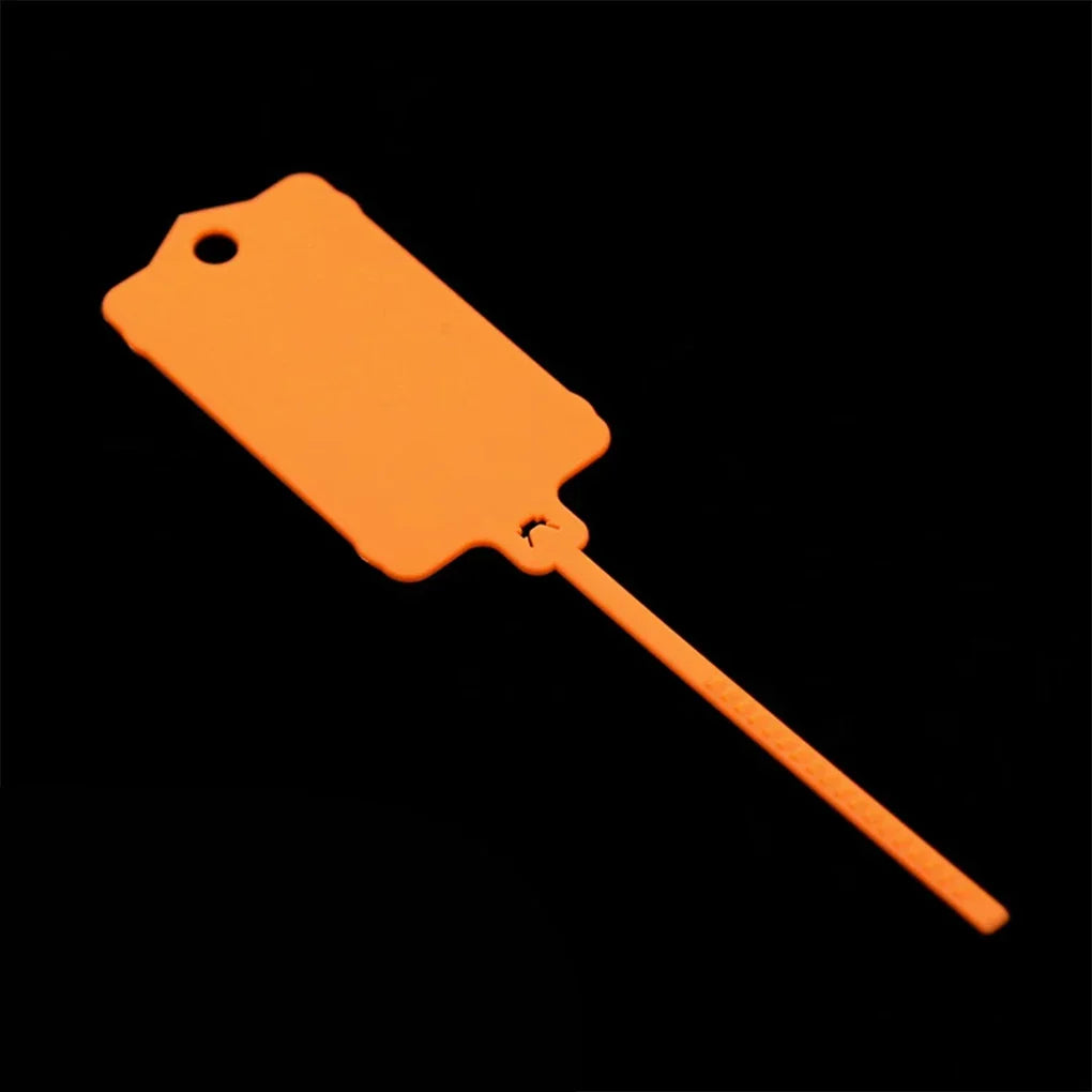 Carvallo FlexiTag 100 | 100 stycken | Återanvändbara plastetiketter med förslutningsband | För nycklar, bagage, lager och kontor Carvallo