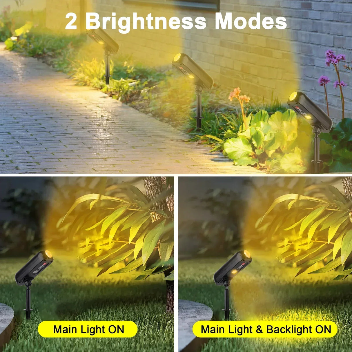 Carvallo SolarGlow Solträdgårdslampa LED | Färgväxling & Varmvitt | Vattentät | För trädgård, terrass & landskap | 6–8 timmars ljusperiod Carvallo