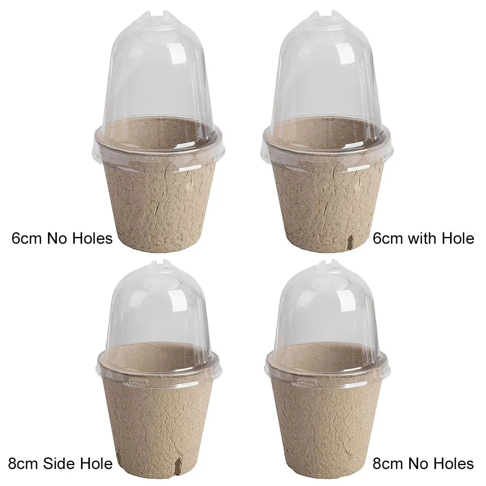 Carvallo Biologiskt nedbrytbara såjordkrukor 10-pack | Med växthuslock | För grönsaker, örter & blommor | Hållbar groddhjälp Carvallo