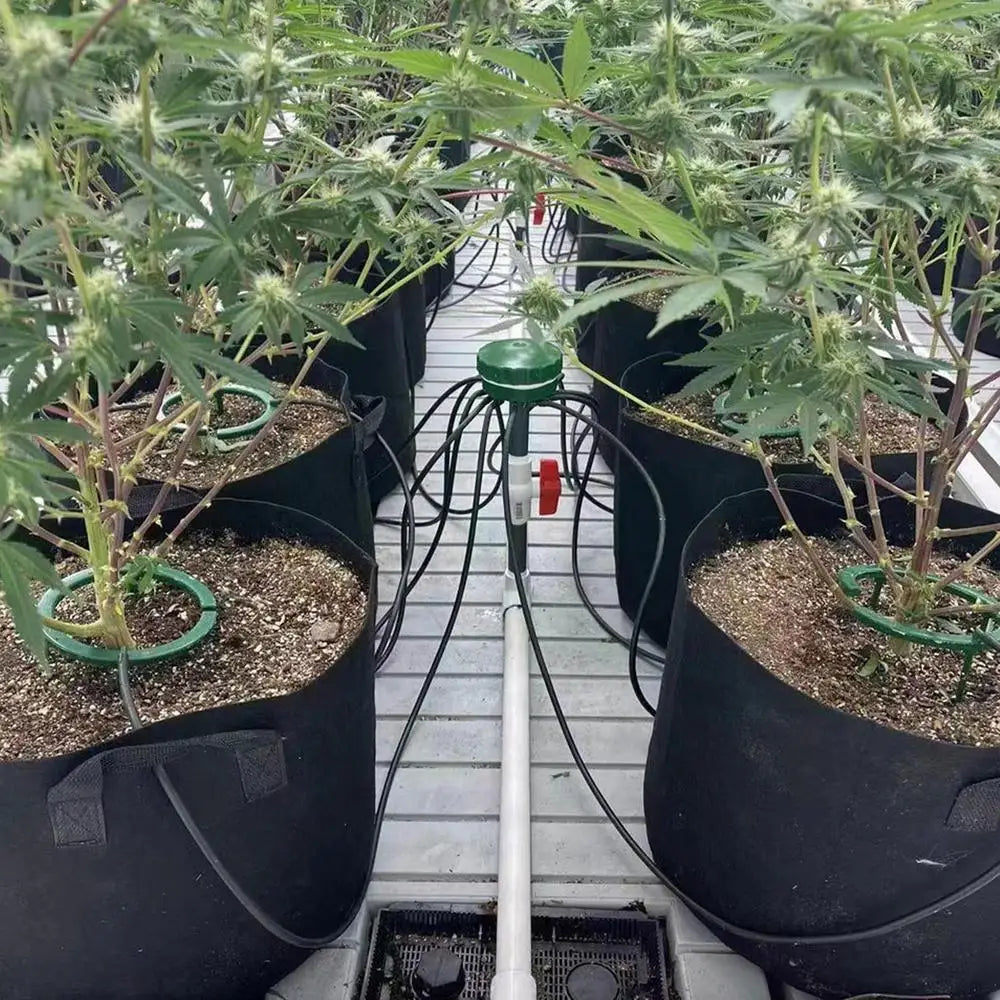 Carvallo växtdroppare med 3-bens stativ | Precis bevattningssystem för inomhus- & trädgårdsväxter | Vattensparande & Stabil Carvallo