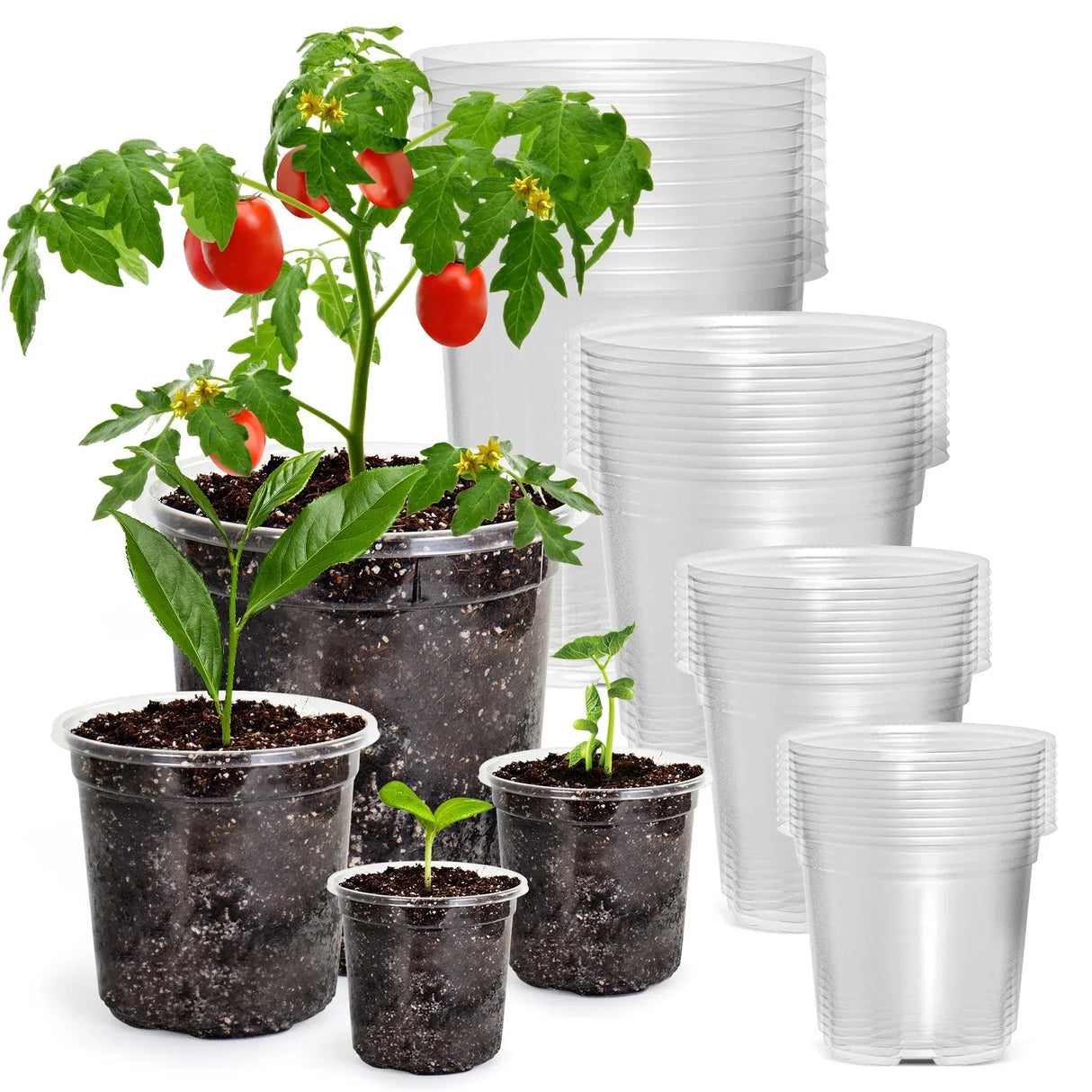 Carvallo Planter Set | 30-piece Set Transparent | 6,7" + 5" + 4" | Flexibel, Robust & med dräneringshål Carvallo