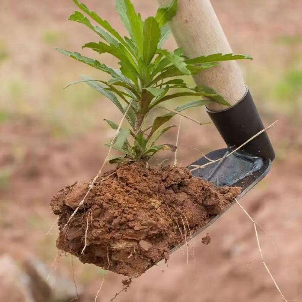 Carvallo Trädgårdshacka | Manganstål | Ogräsborttagare & Planteringshjälp | Robust & Multifunktionell Carvallo