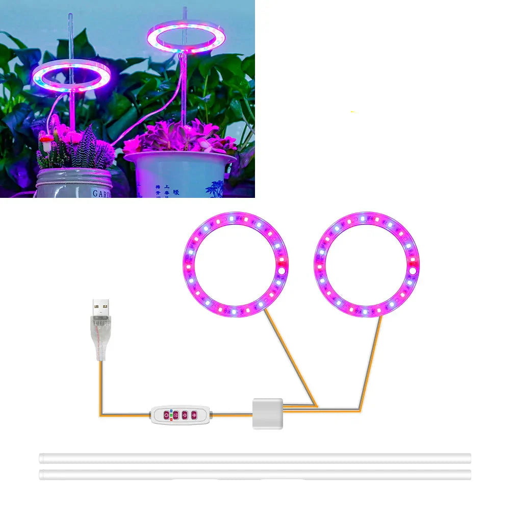 Carvallo Luminara Ring | LED-växtbelysning med timerfunktion | 1–4 huvuden | USB-driven & 5-stegs dimbar Carvallo