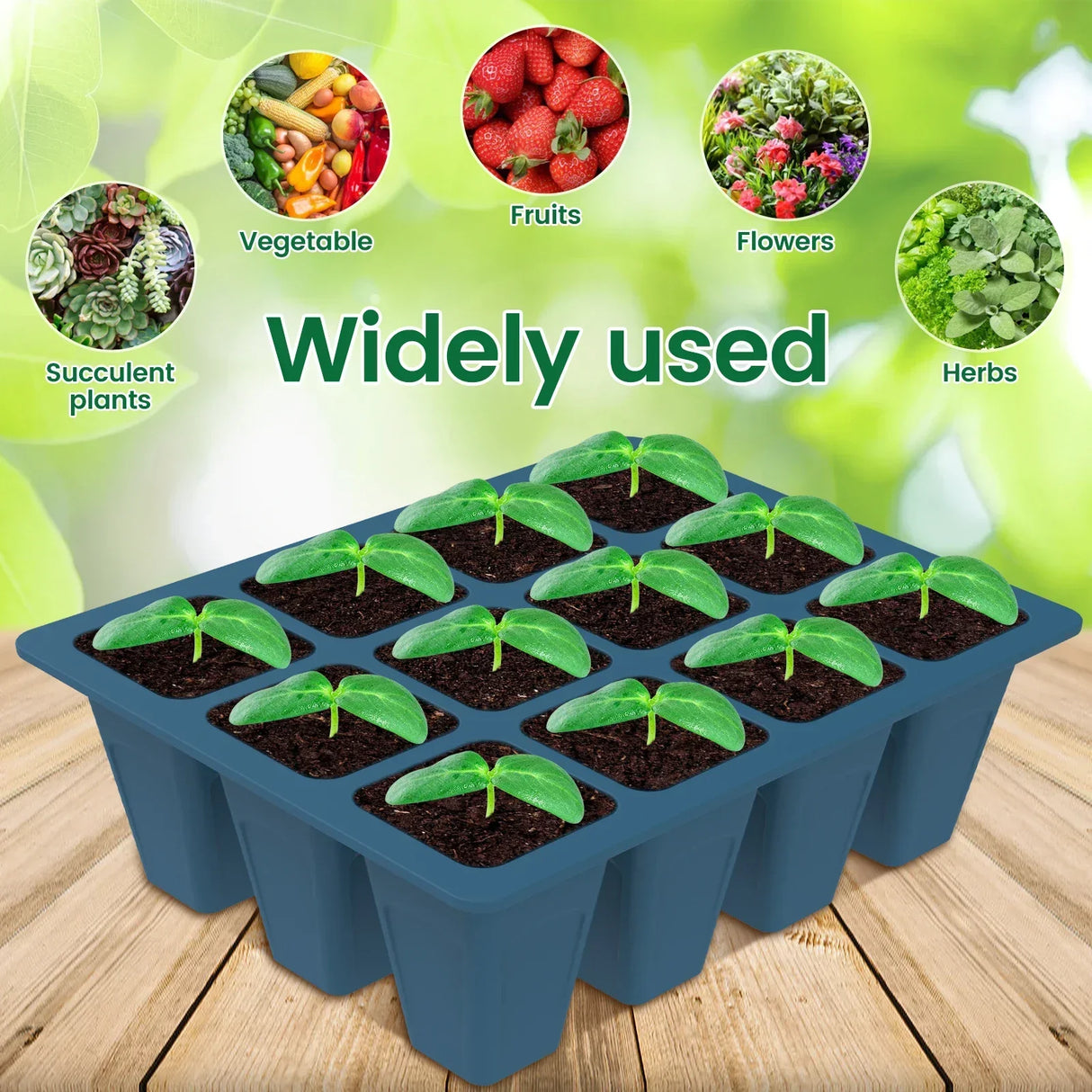 Carvallo Silikon | BPA-free & Reusable | 12 Cells with Drainage | 2-Pack in Black or Dark Green Carvallo