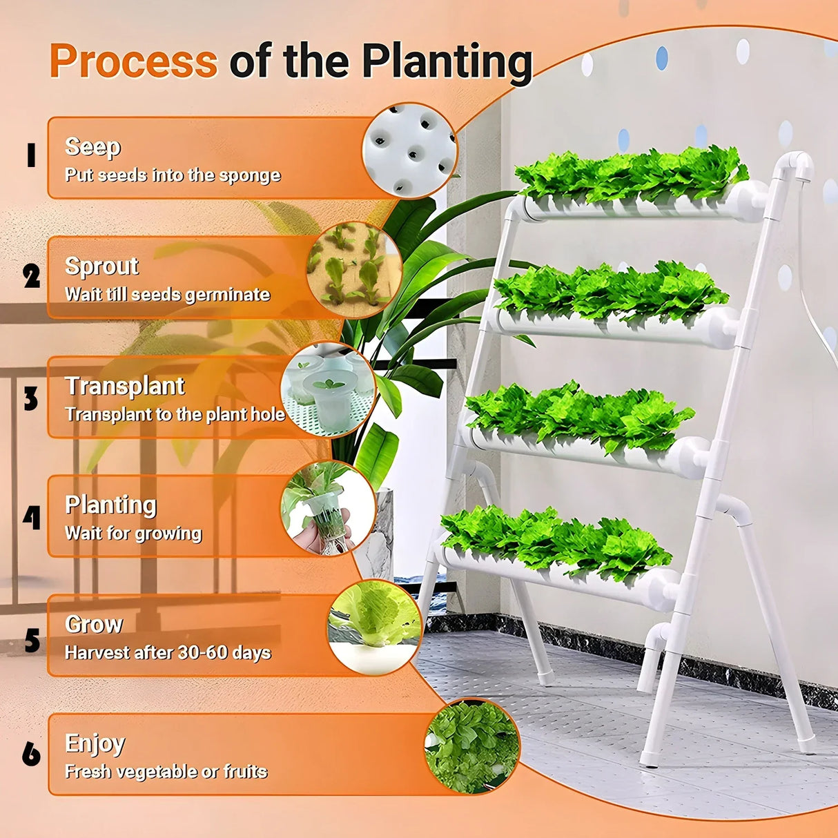 Carvallo | Hydroponic growing system with 36 planting spots | PVC pipeline for vegetables & herbs | Complete hydroponics set Carvallo